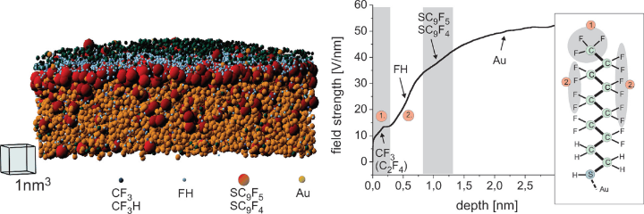 Left: Reconstruction of a self-assembled monolayer of perfluoro-decanethiol on top of a Au tip. Right: Field strength required for the evaporation of the fragments from a single chain.